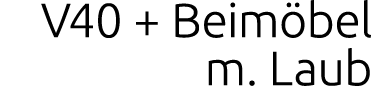 V40 + Beim bel m. Laub