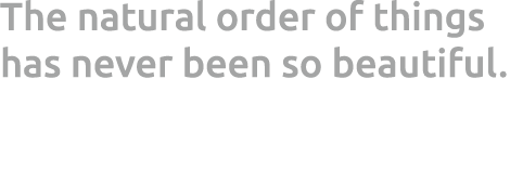 The natural order of things has never been so beautiful. 